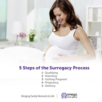 surrogacy journey consulting